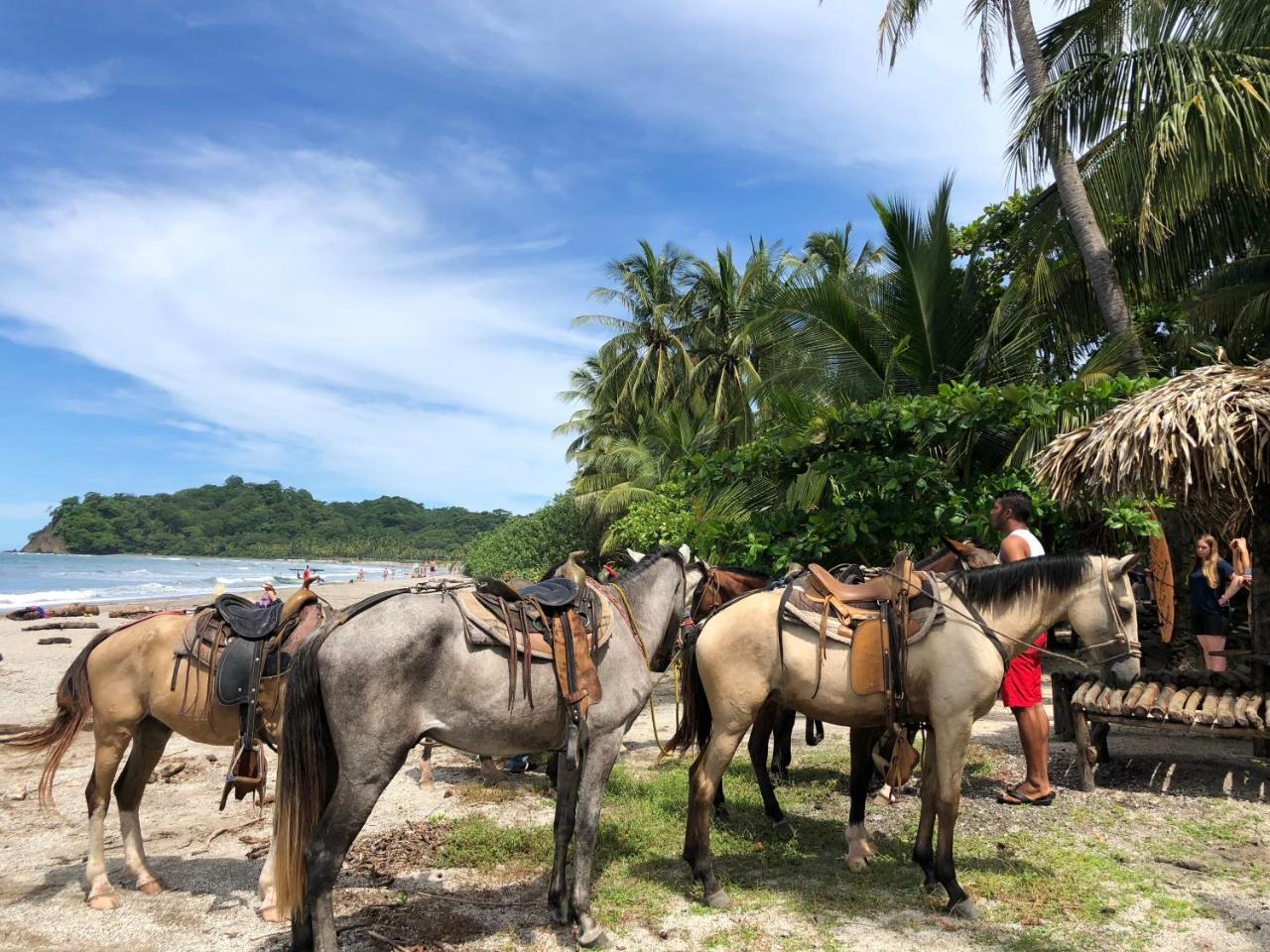 Macao Beach Sámara Eksteriør billede