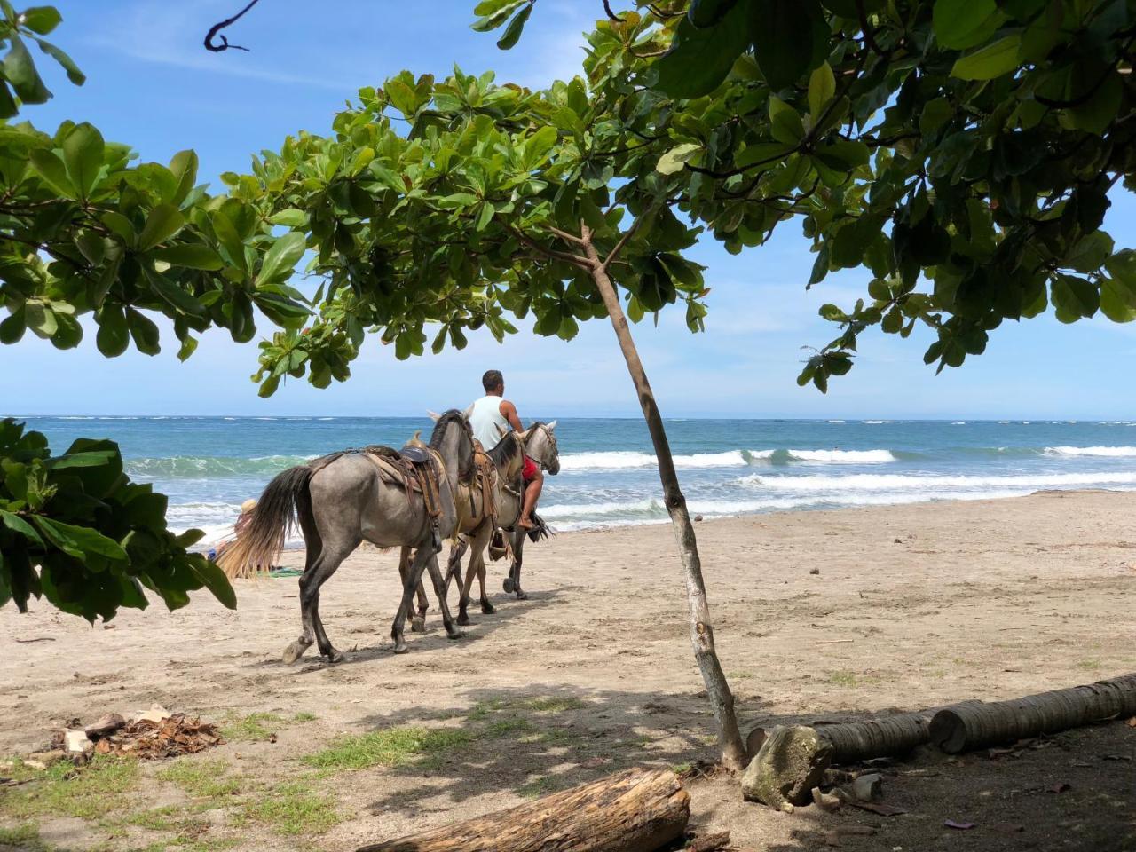 Macao Beach Sámara Eksteriør billede