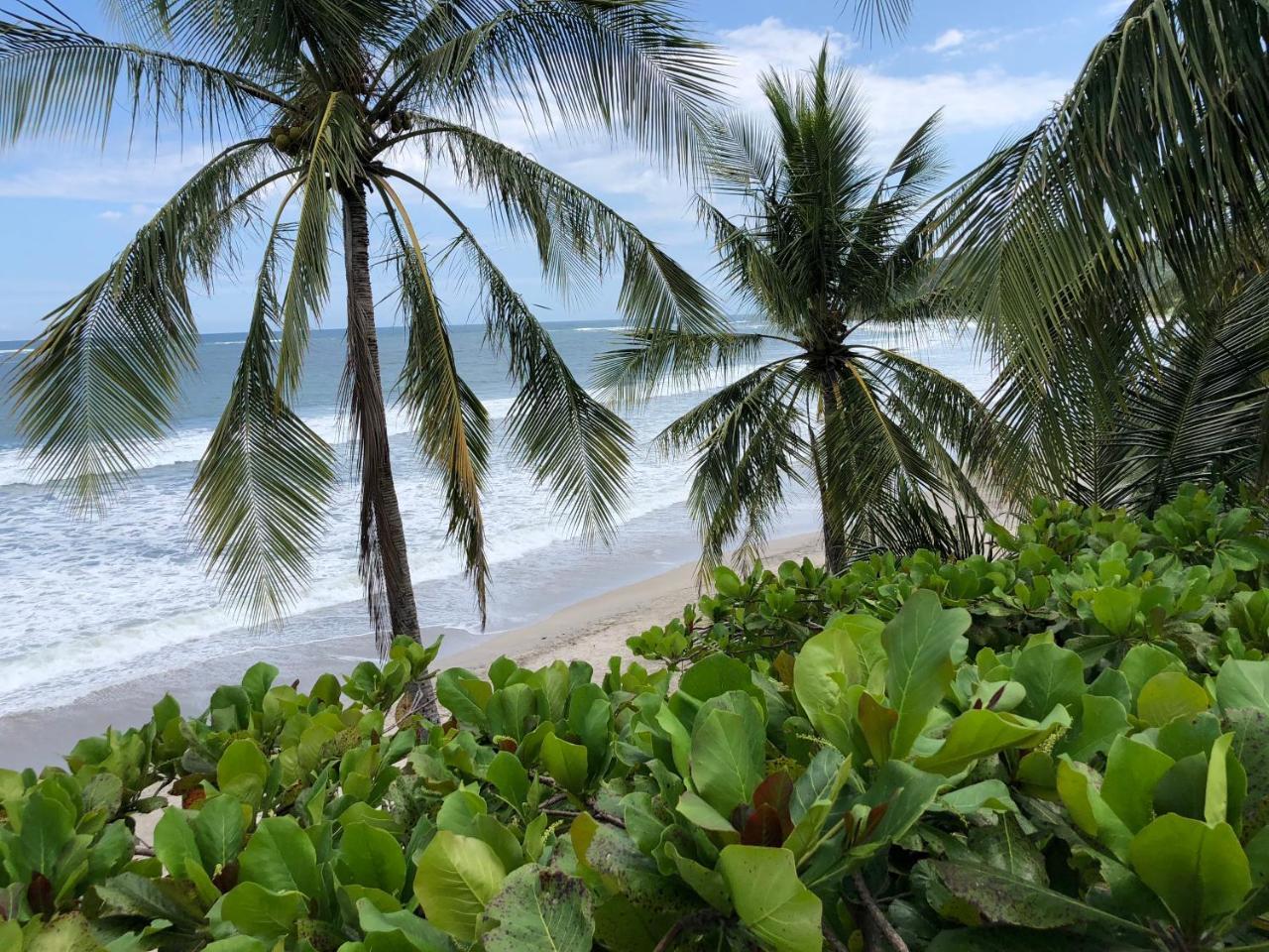 Macao Beach Sámara Eksteriør billede